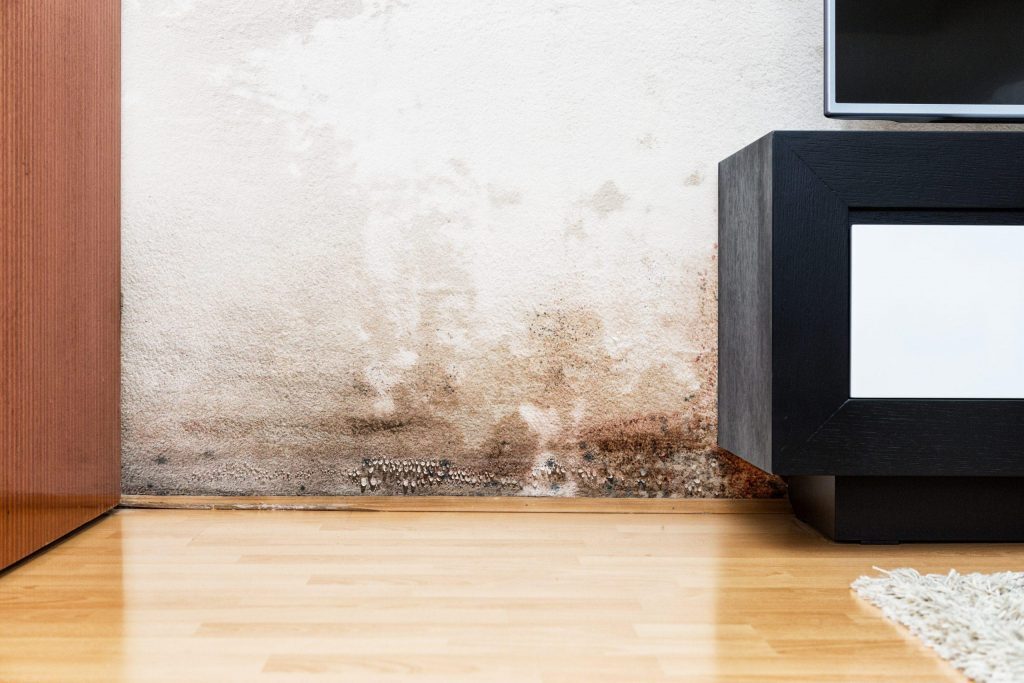 problemi di umidità