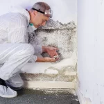 umidità di risalita