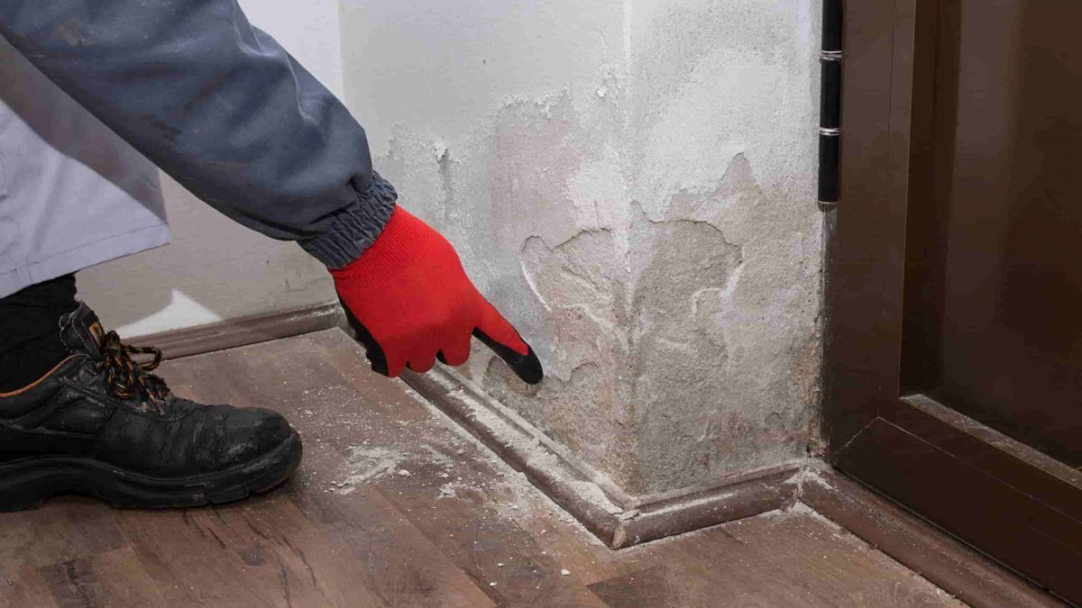 umidità di risalita