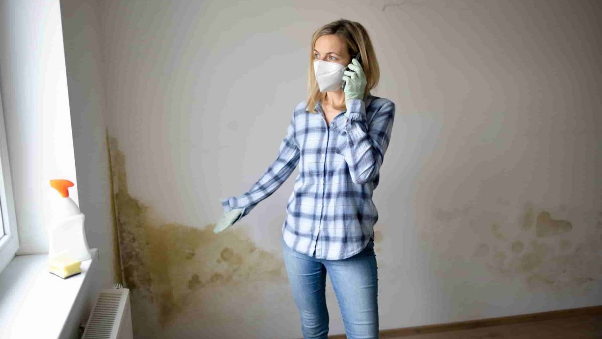 umidità di risalita