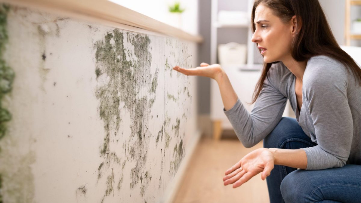 umidità di risalita capillare